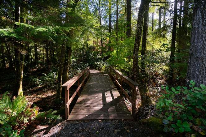 Community trails