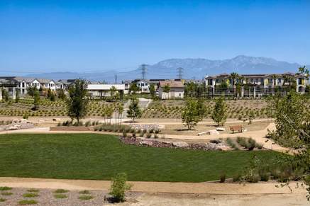 Community park