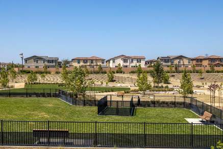Community dog park