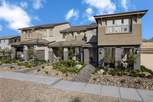 Groves at Caldwell Park at Summerlin - Las Vegas, NV