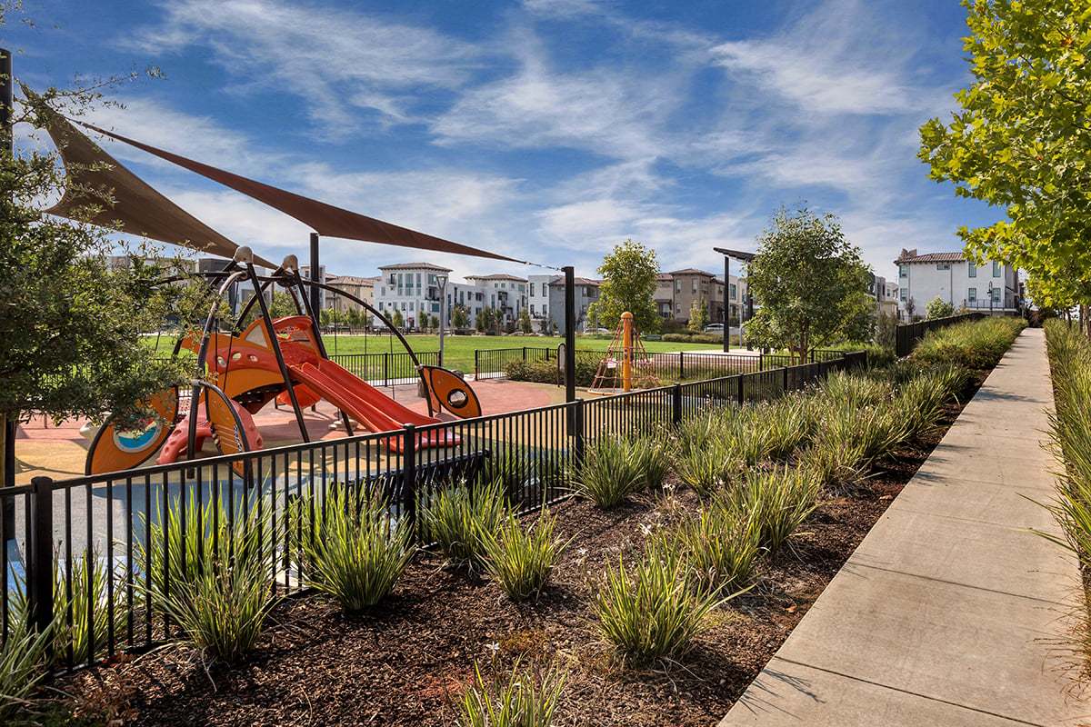 Community park and playground