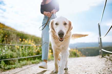 Stock photography