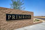 Primrose - Lancaster, CA