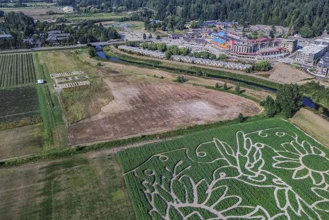 Near Burke-Gilman Trail