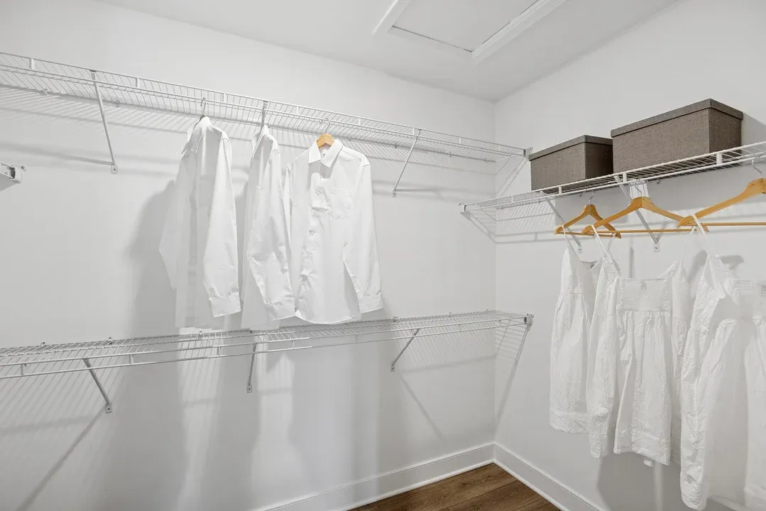 Primary Walk-in Closet