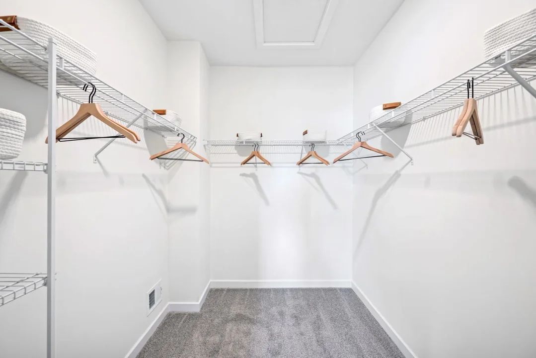 Primary Walk-in Closet