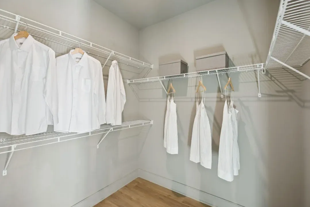 Primary Walk-in Closet
