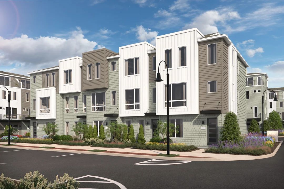 Luxurious Townhomes