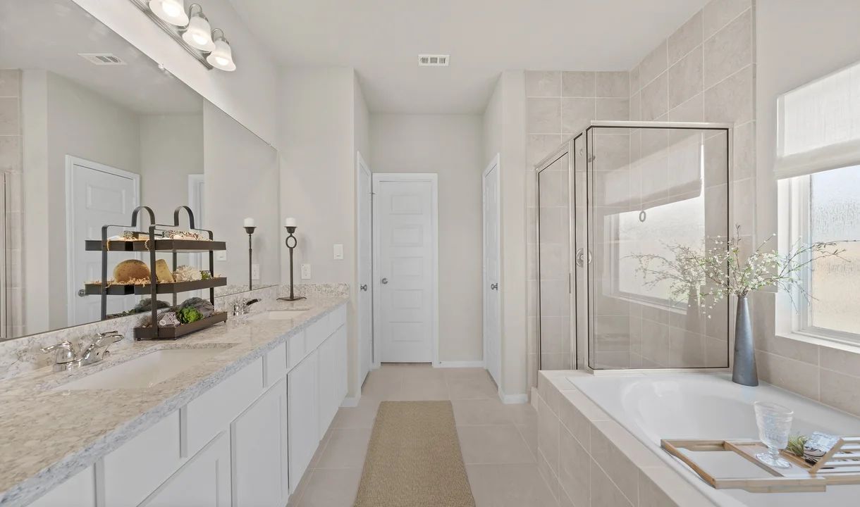 Owner's Bath