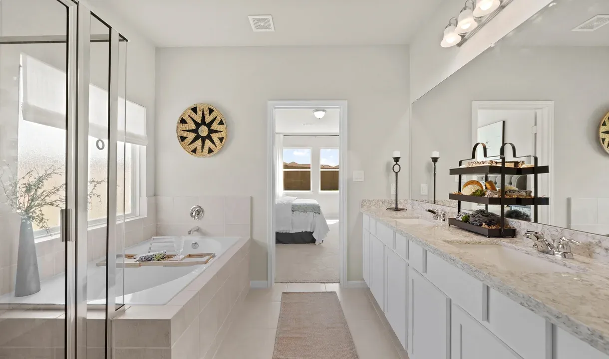 Owner's Bath
