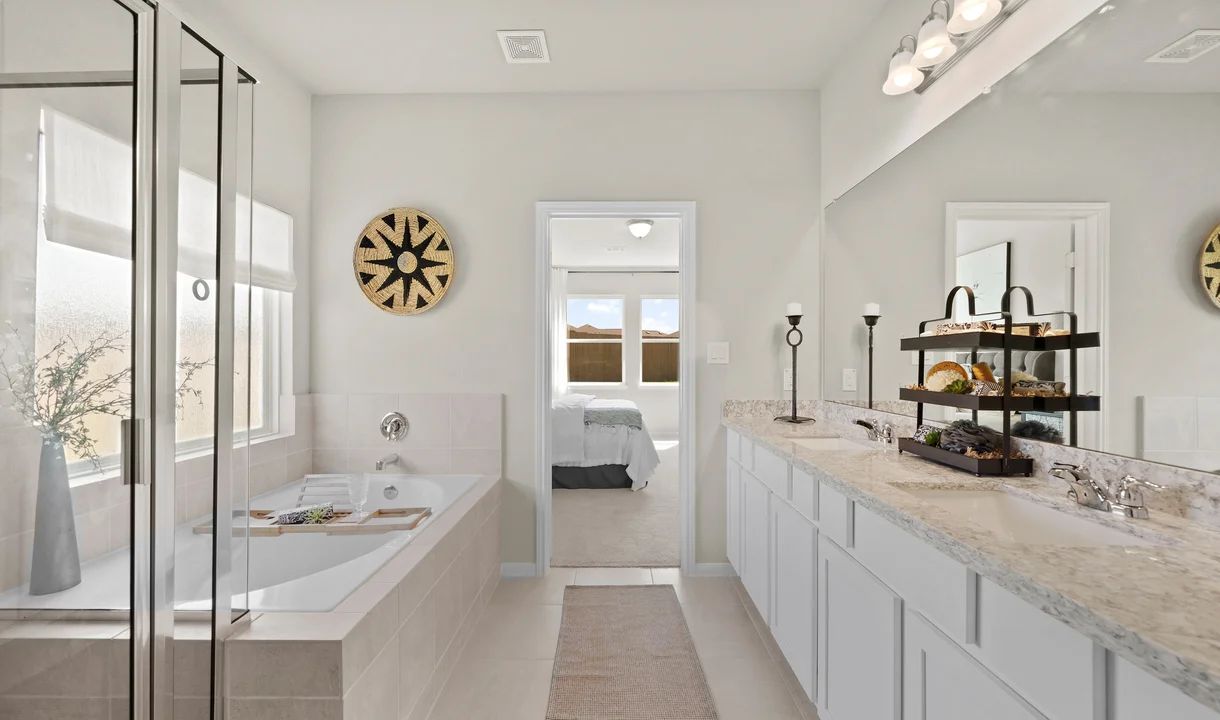 Owner's Bath