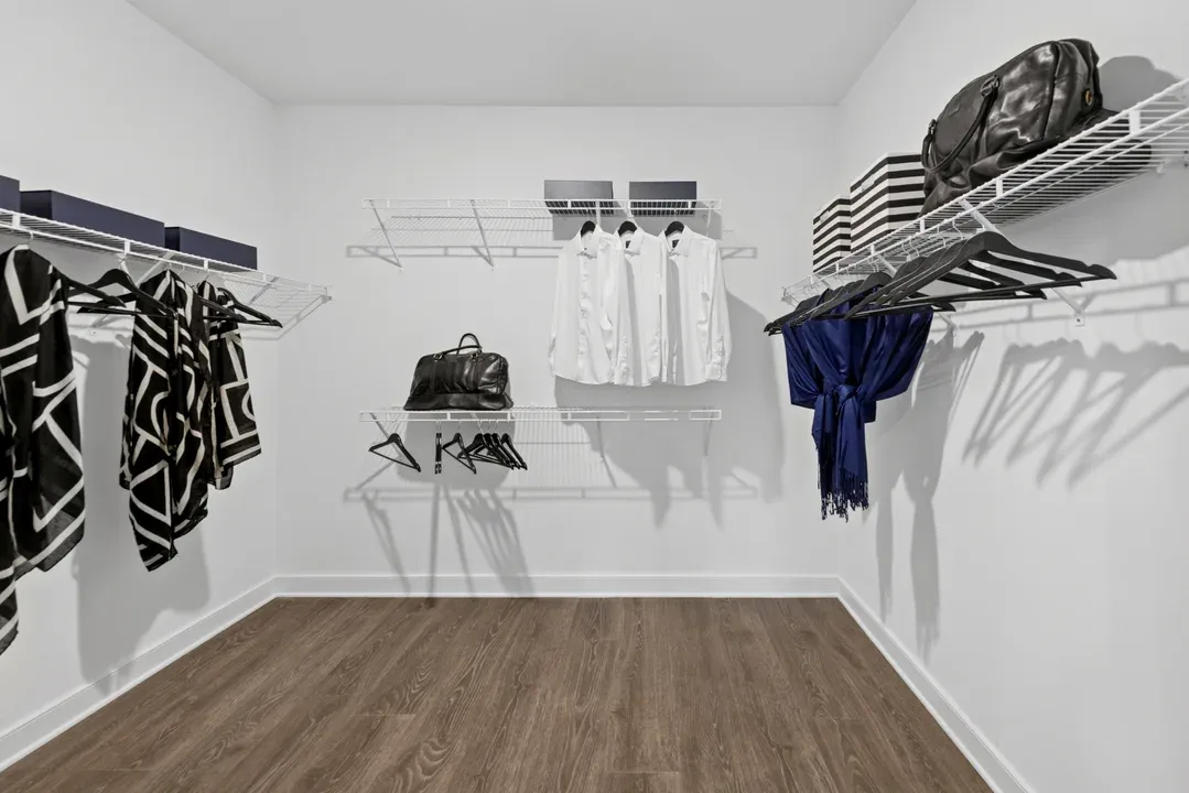 Primary Walk-In Closet