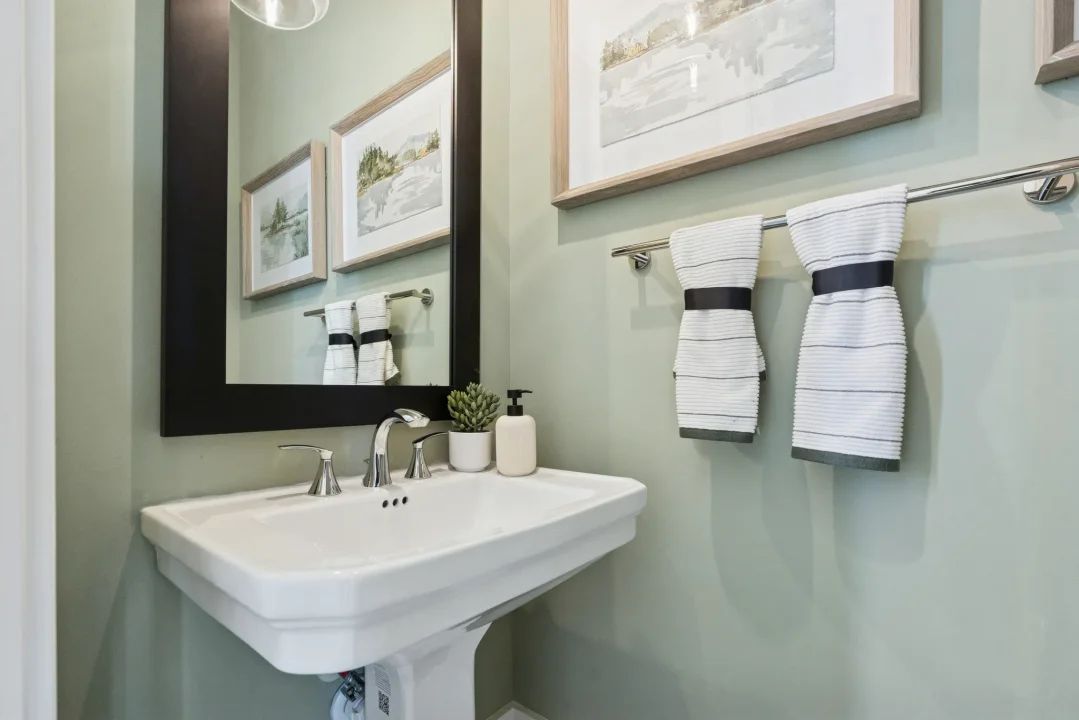 Powder Bath
