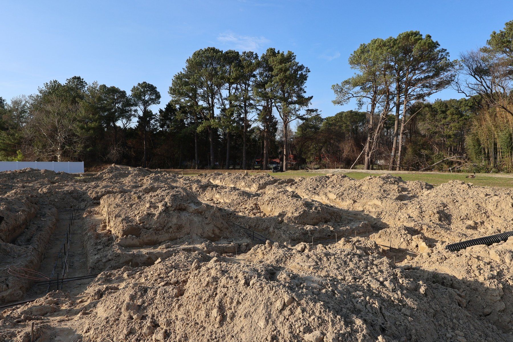 252 Clement Loop (Orinda)