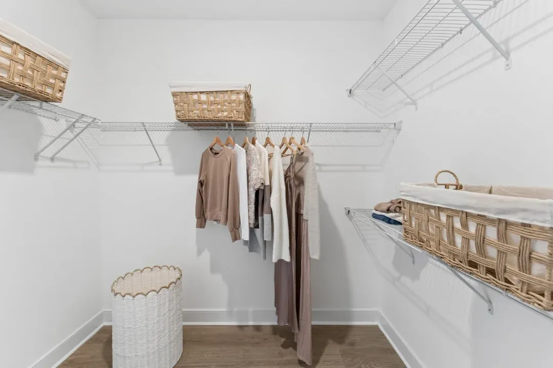 Primary Walk-In Closet