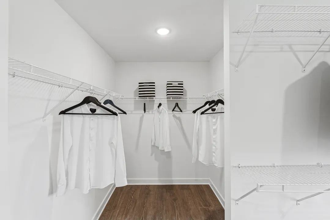 Primary Closet