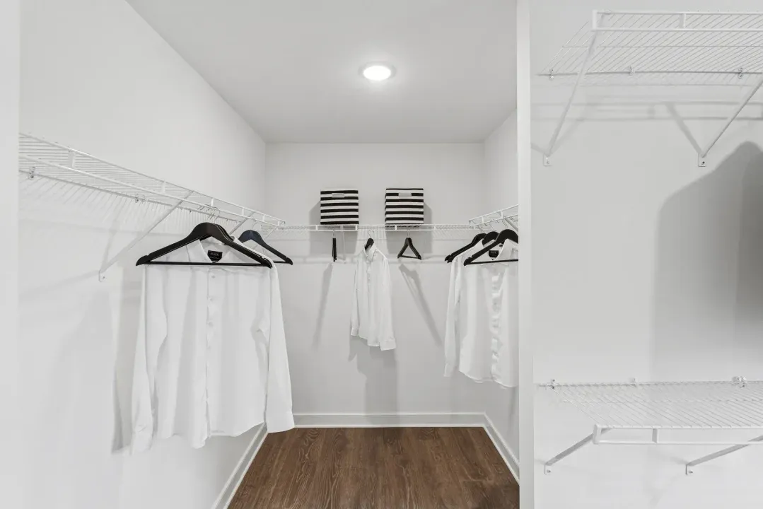 Primary Closet