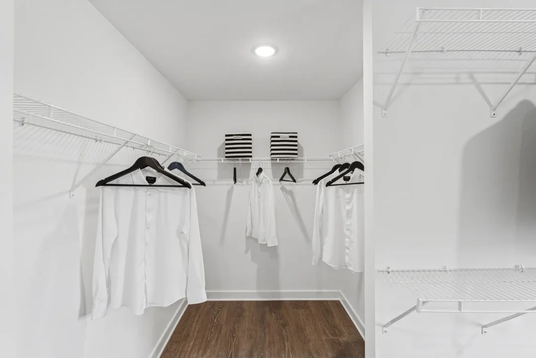 Primary Closet