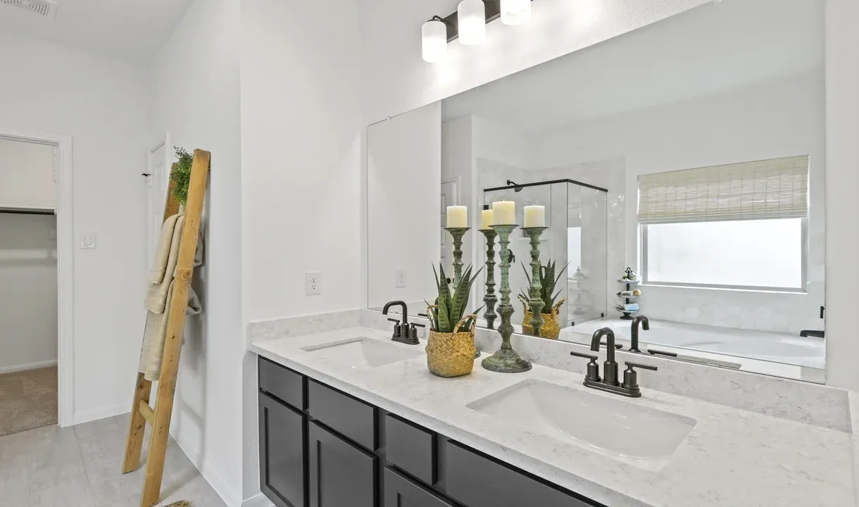 Owner's Bath