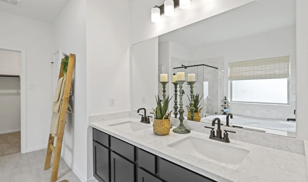 Owner's Bath