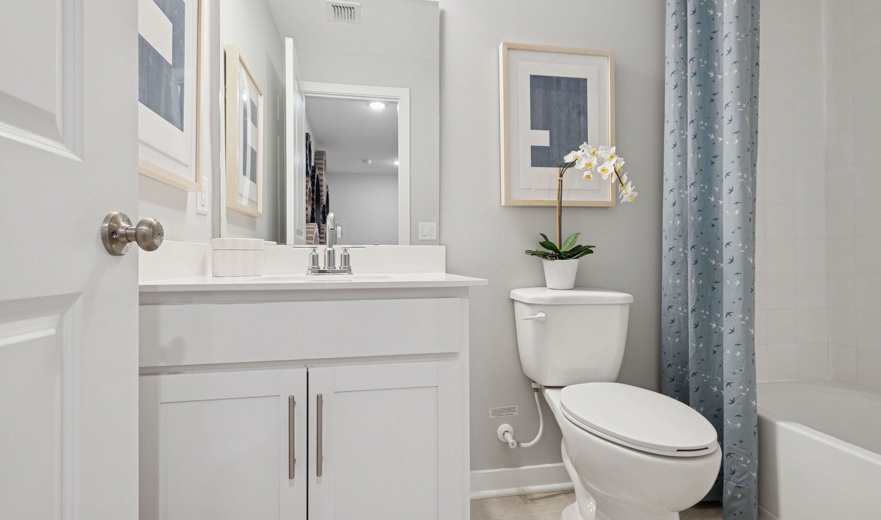 Extra Suite Bath