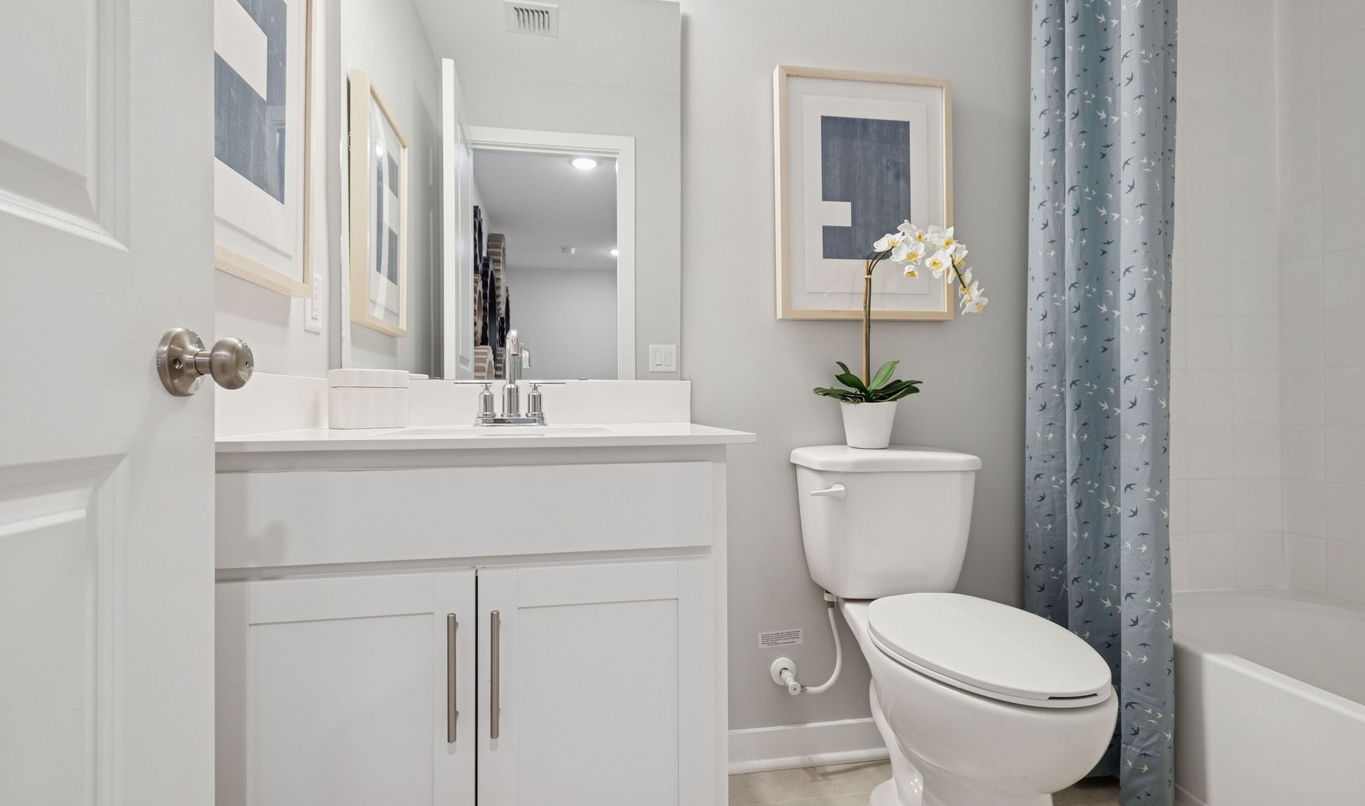 Extra Suite Bath