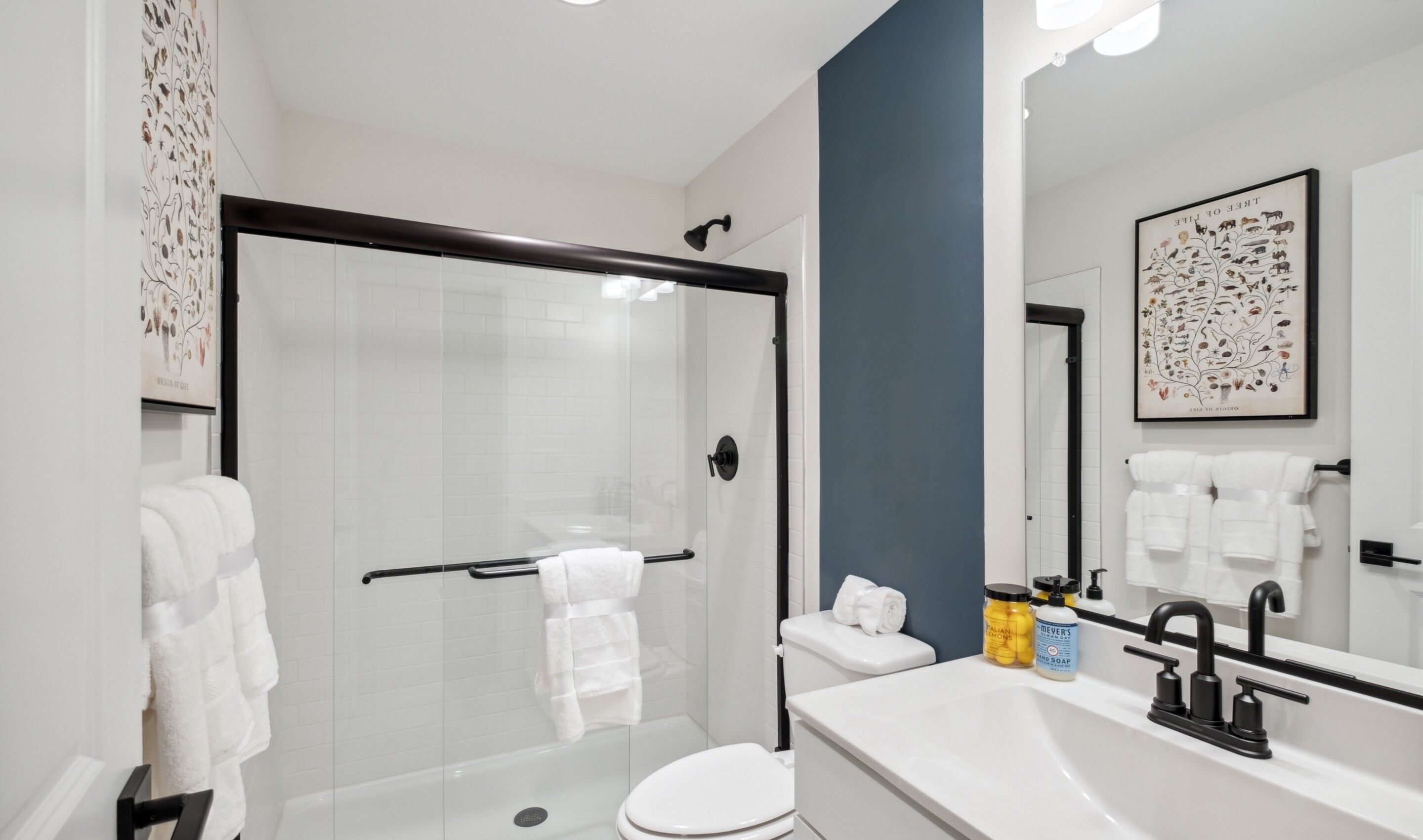 Basement Bath