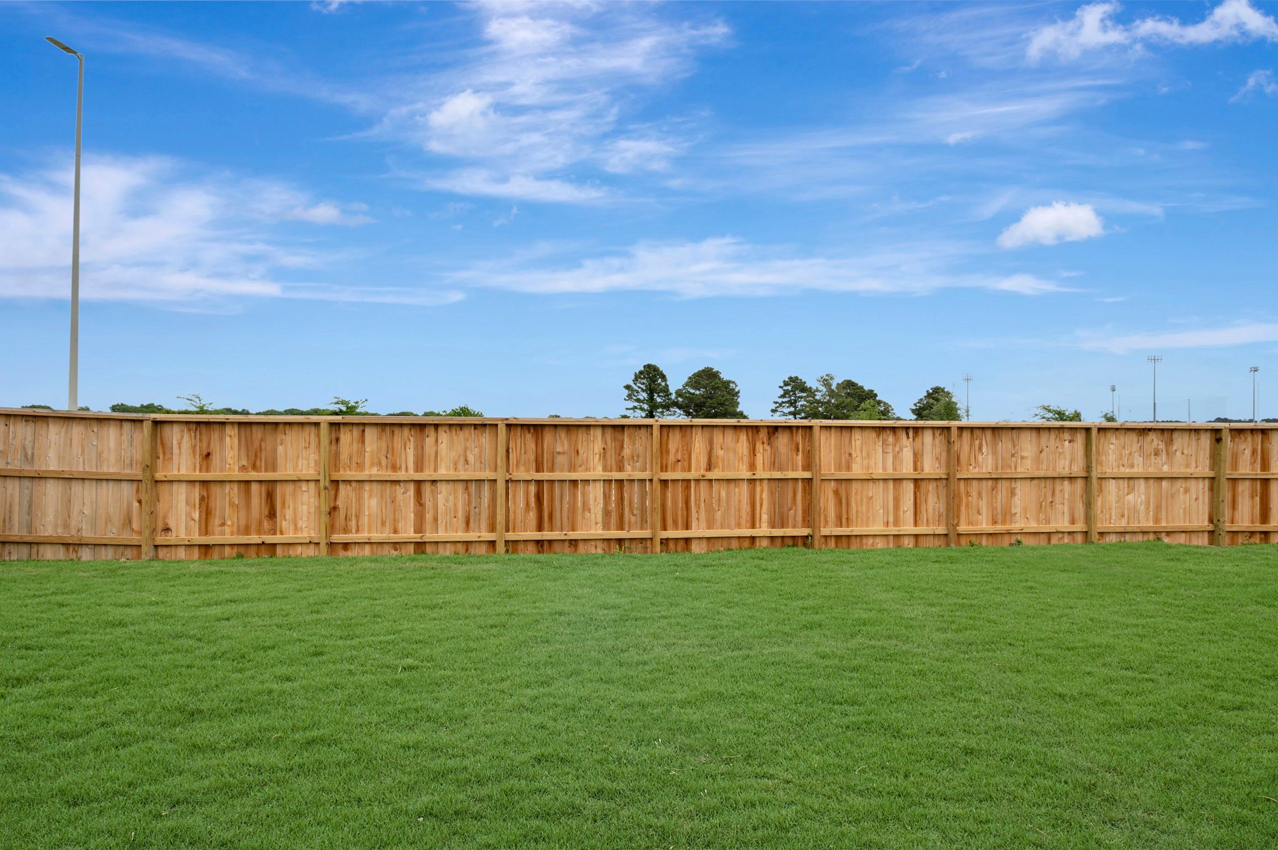 Backyard - May 5, 2026