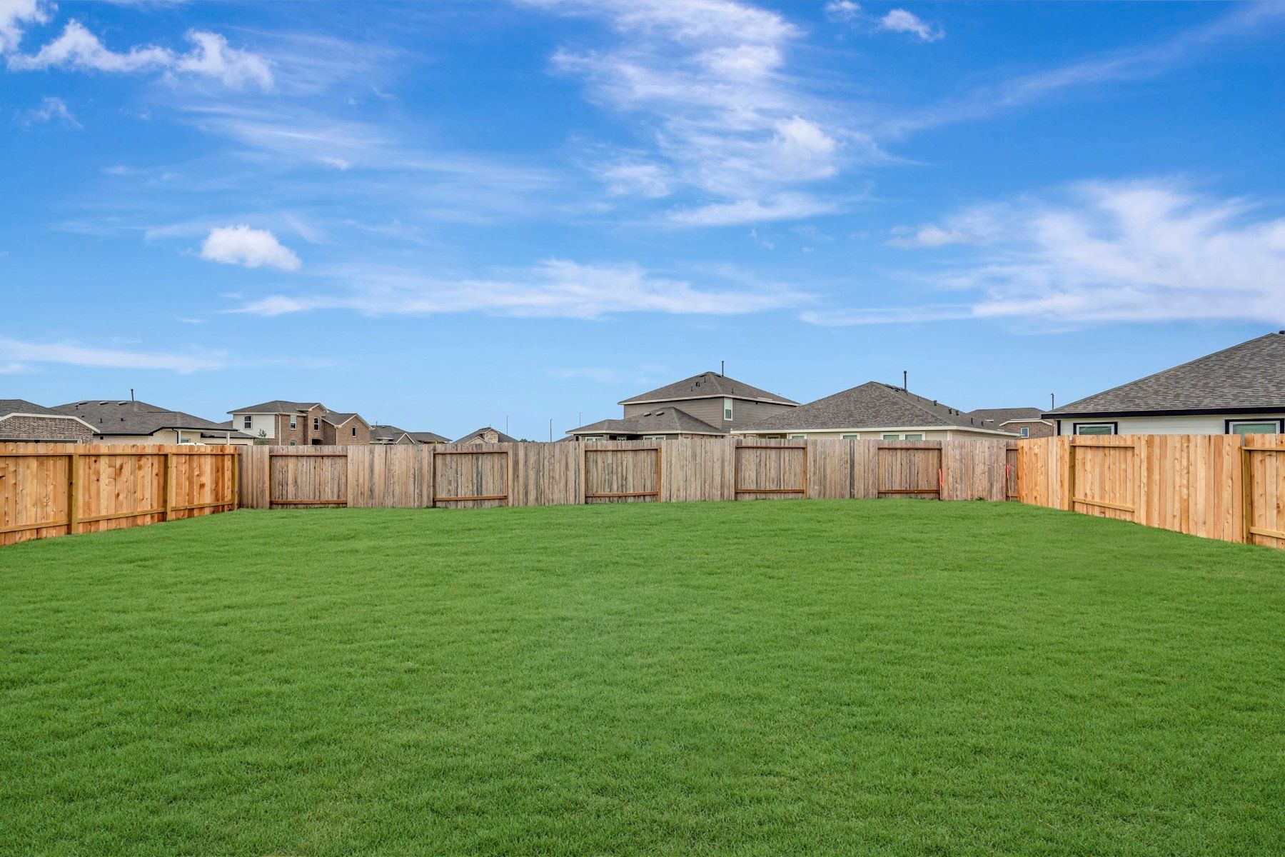 Backyard - May 5, 2026