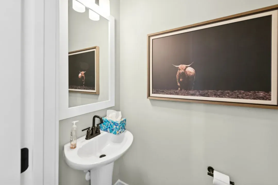 Powder Bath
