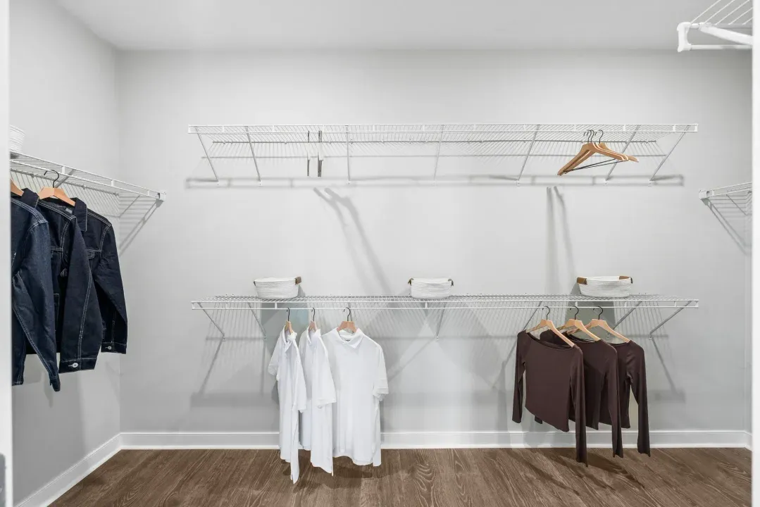 Primary Walk-in Closet