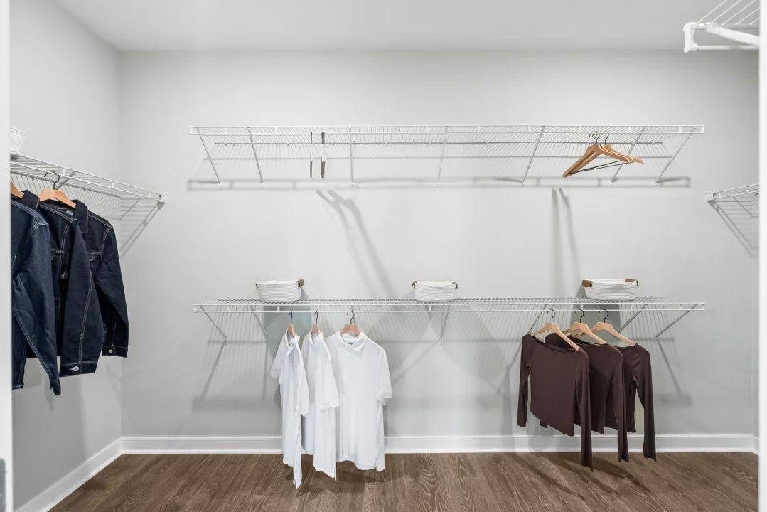 Primary Walk-in Closet