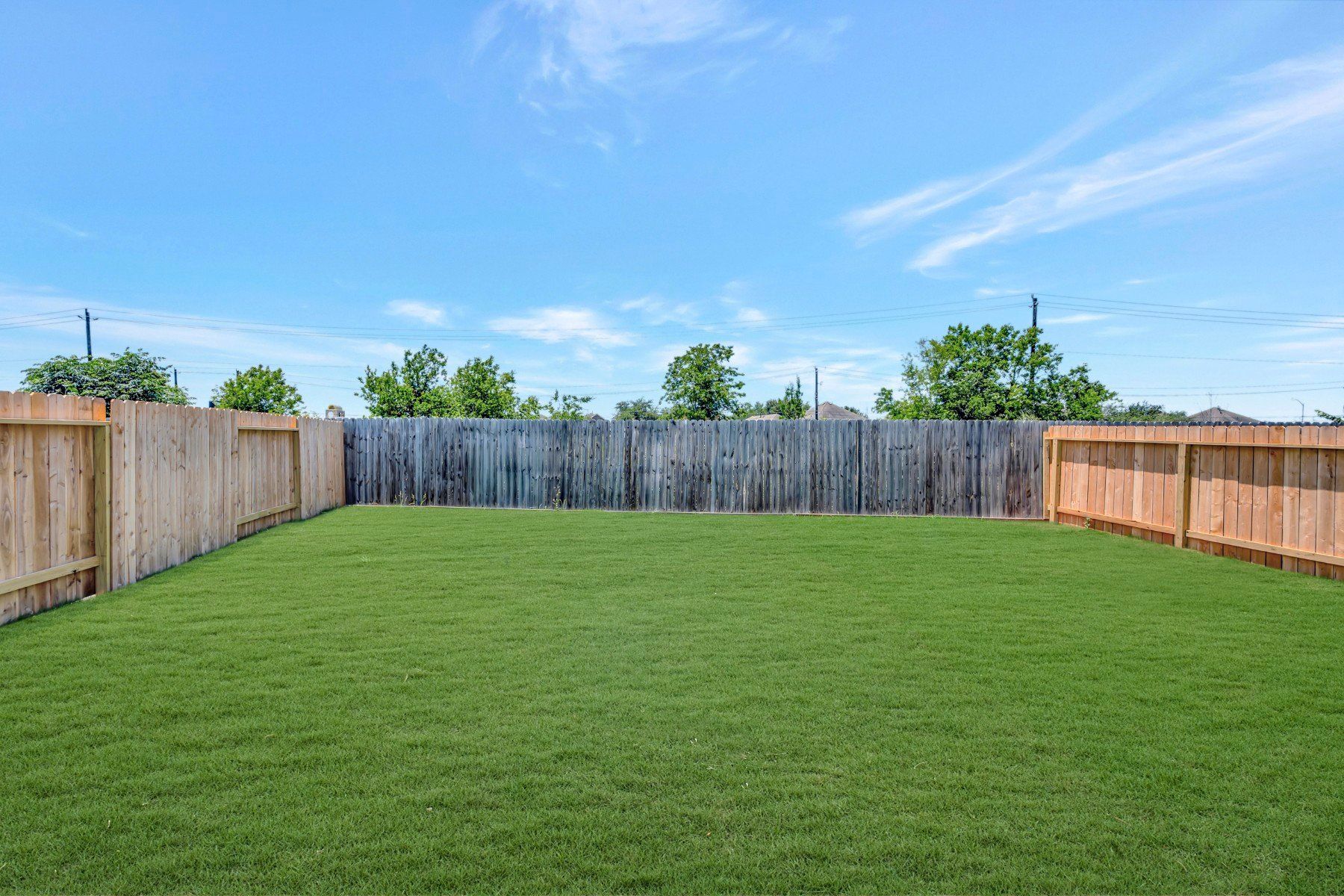 Backyard - May 13, 2026