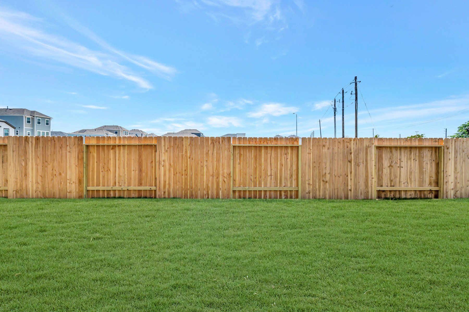 Backyard - May 13, 2026