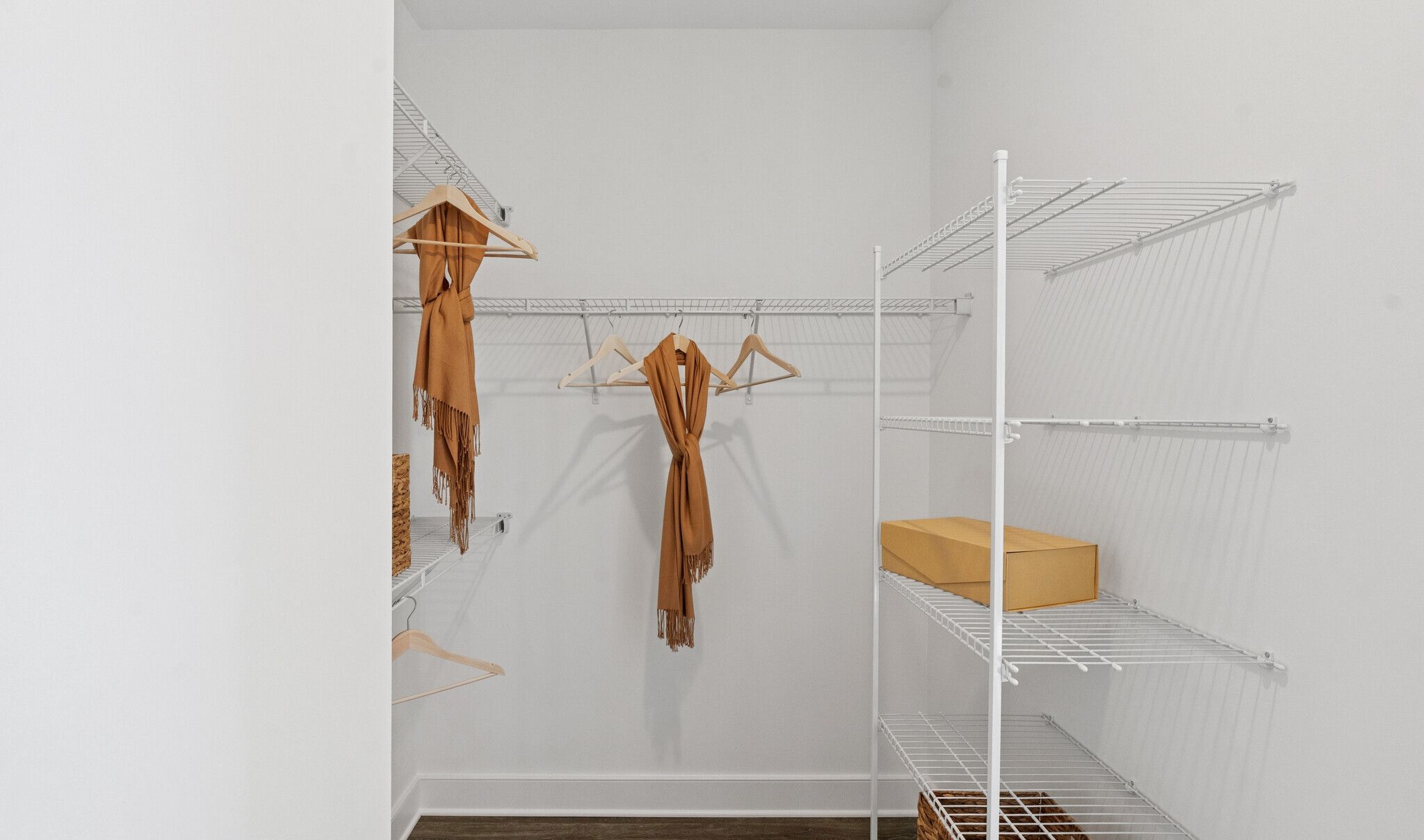 Primary Walk-In Closet