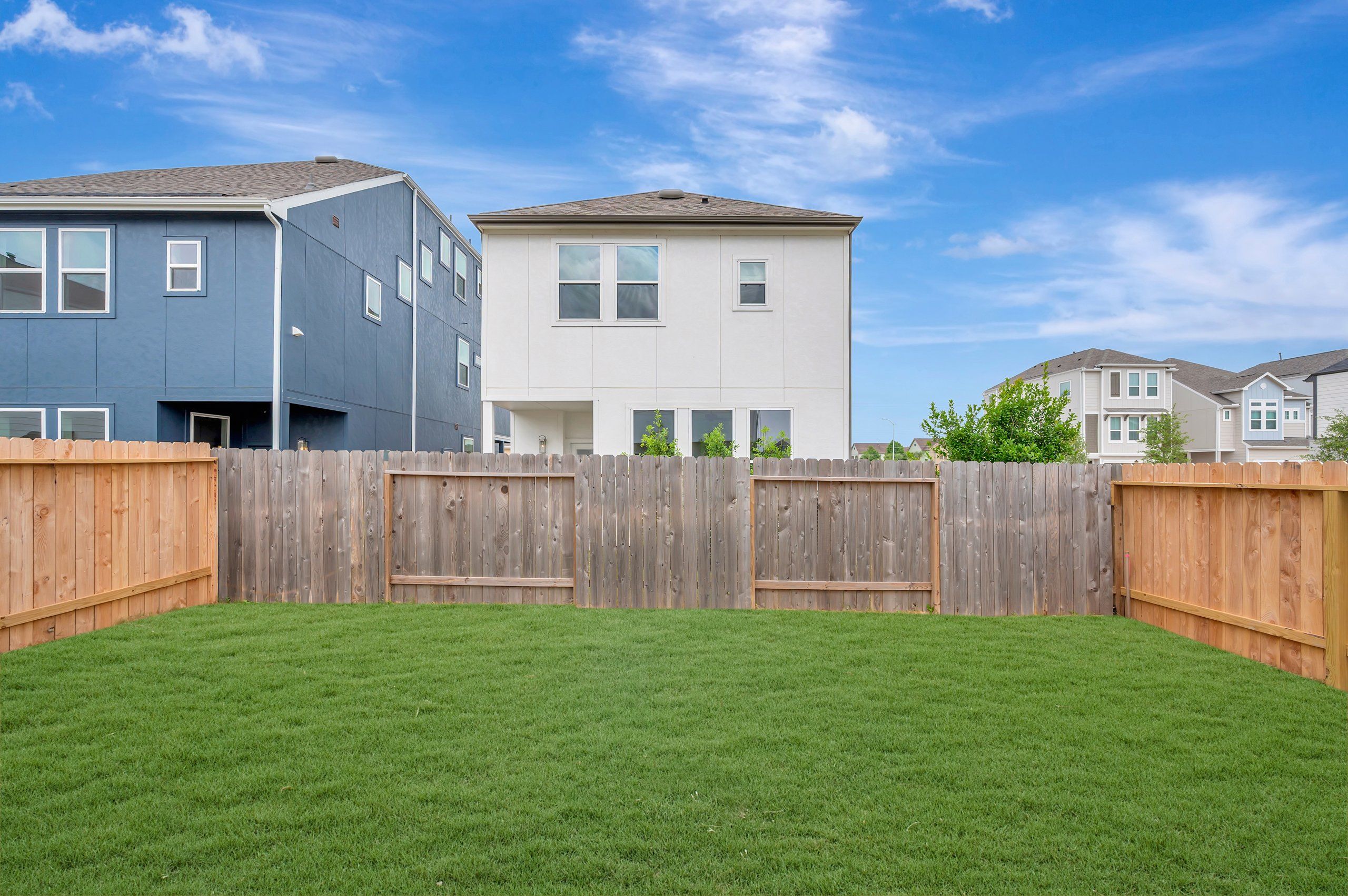 Backyard - May 18, 2026