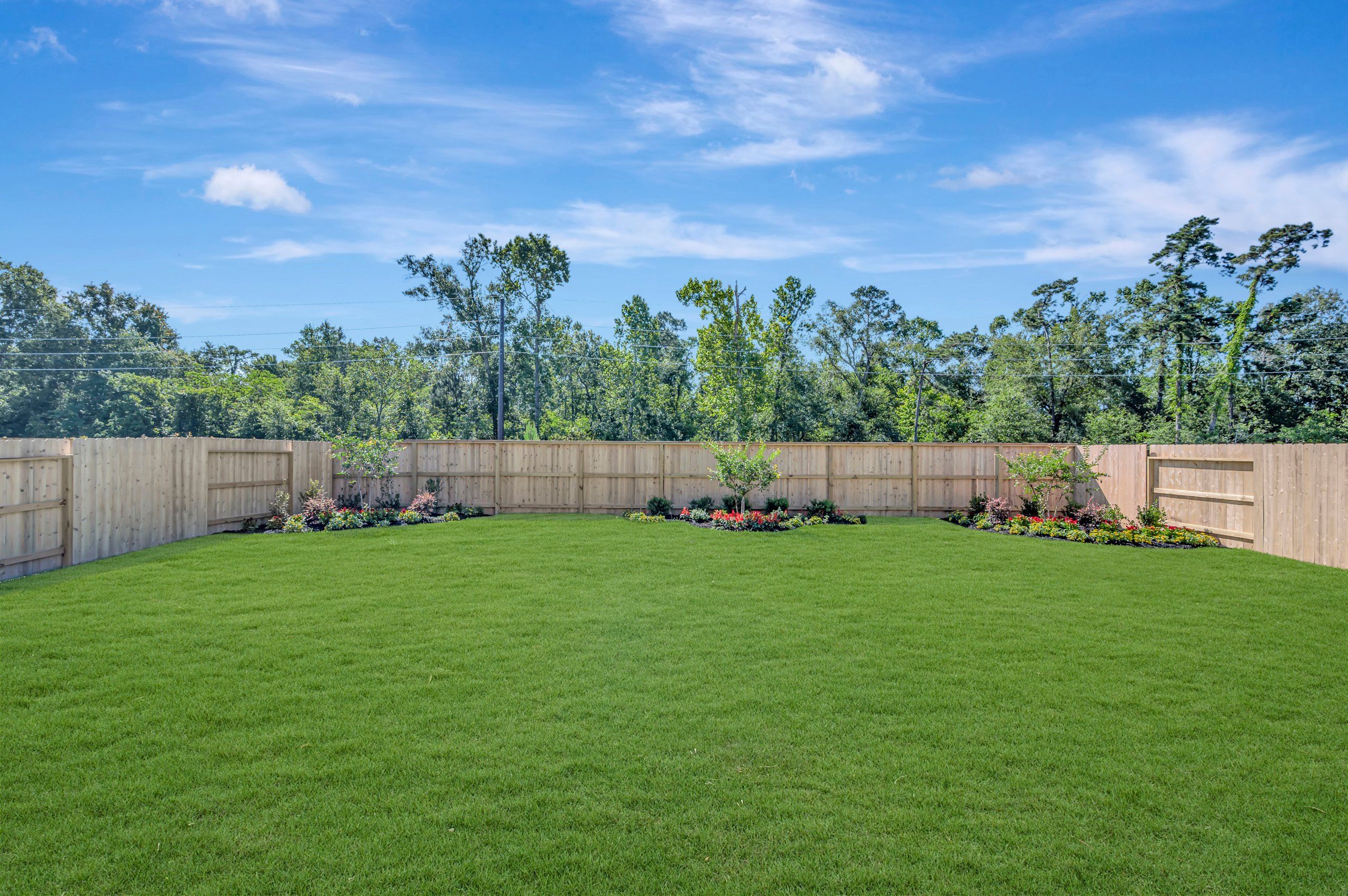 Backyard - May 28, 2026