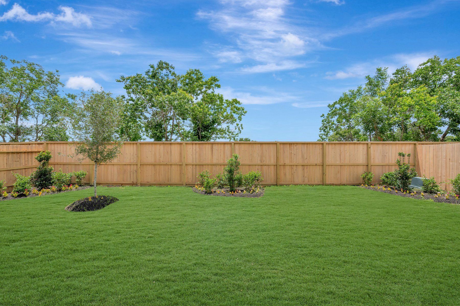 21923 Pecan Buff Dr (Blakemore II)