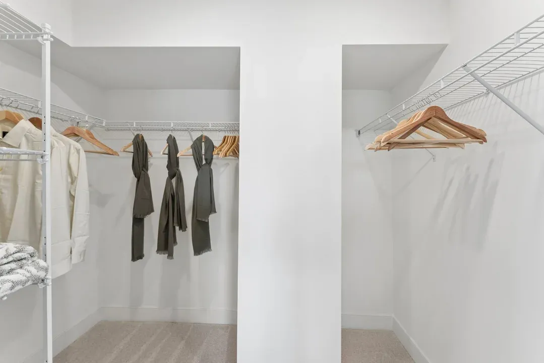 Primary Closet