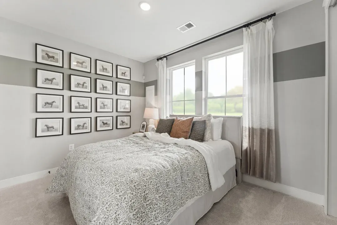 Extra Suite