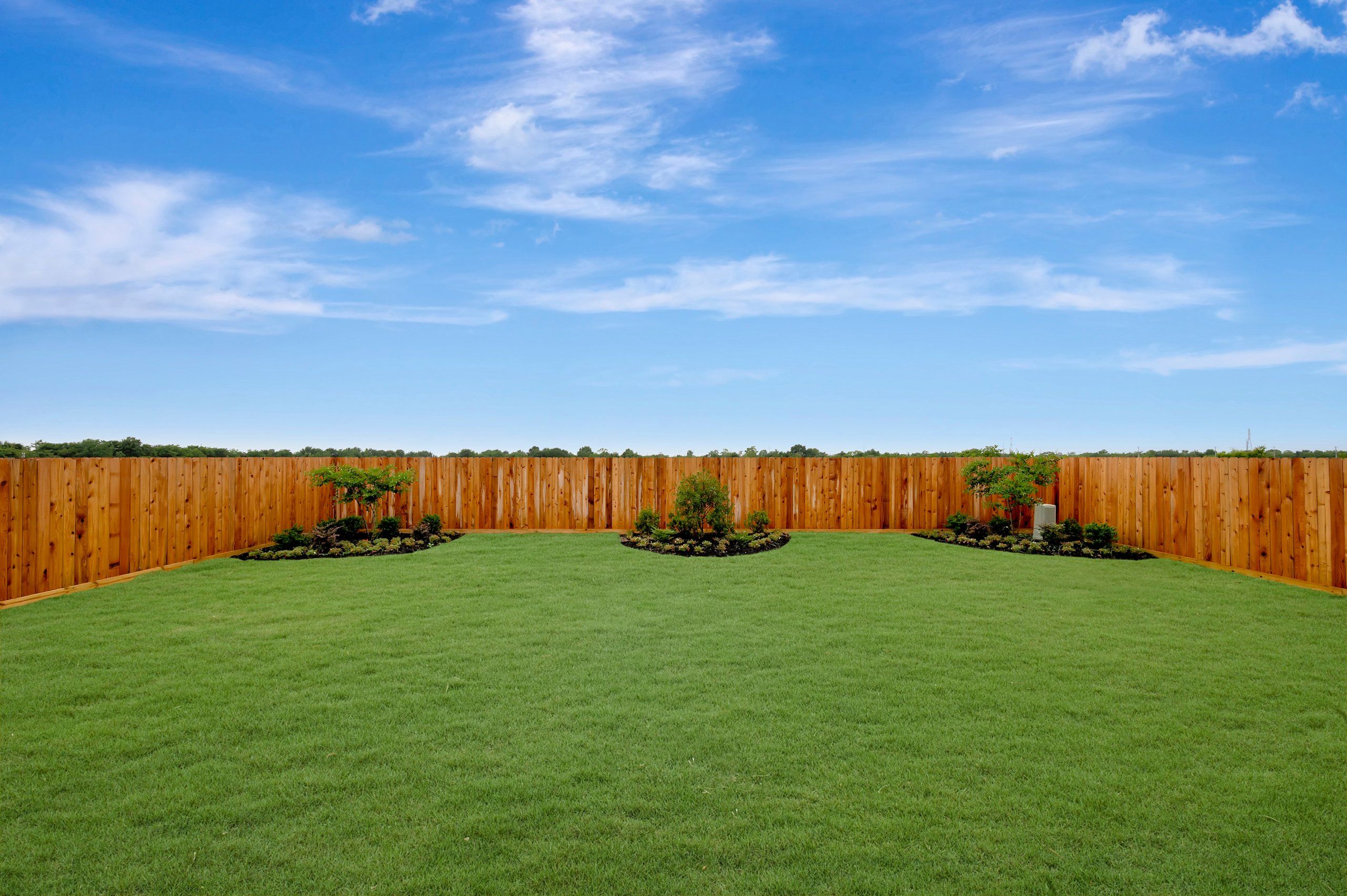 Backyard - June 15, 2026