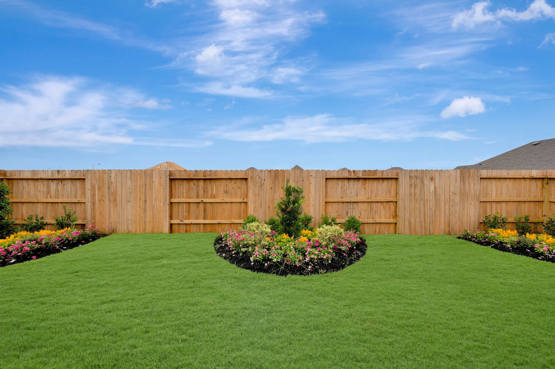 Backyard - June 15, 2026