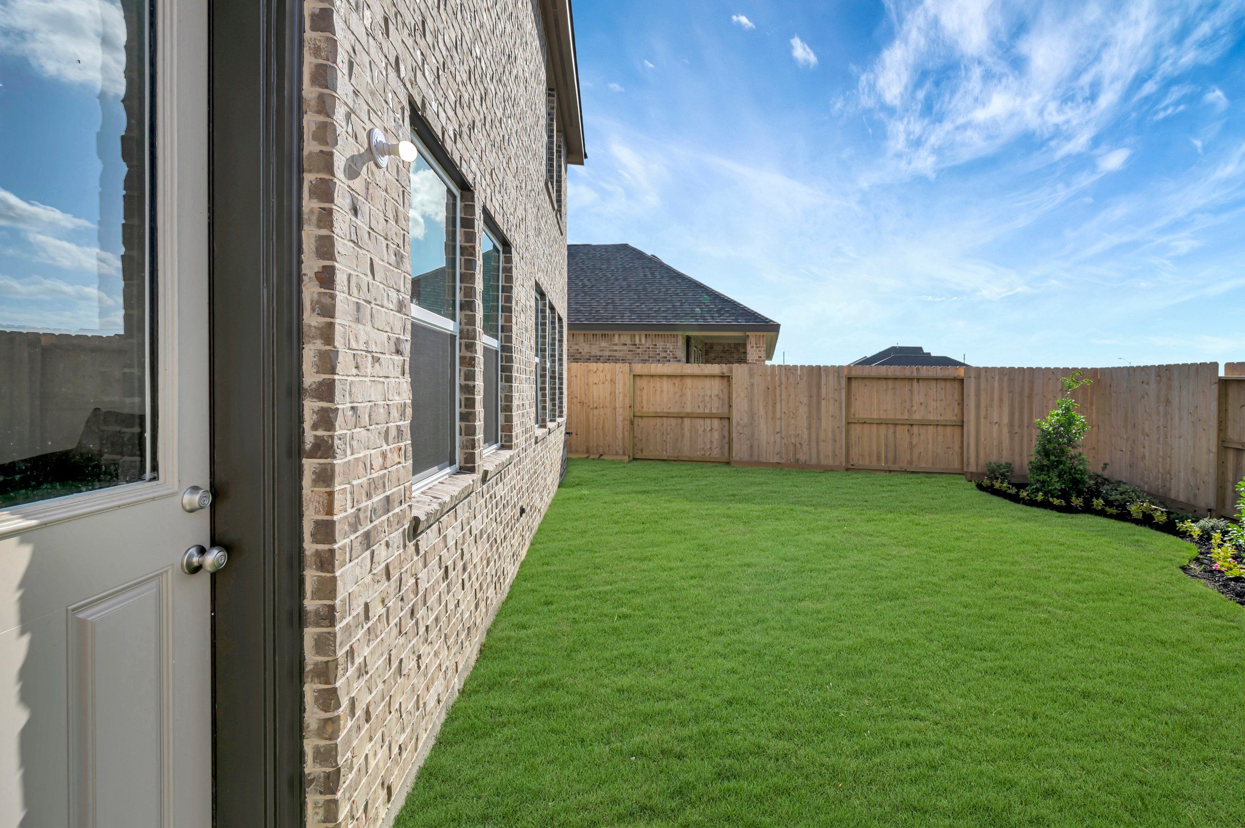 Backyard - June 22, 2026