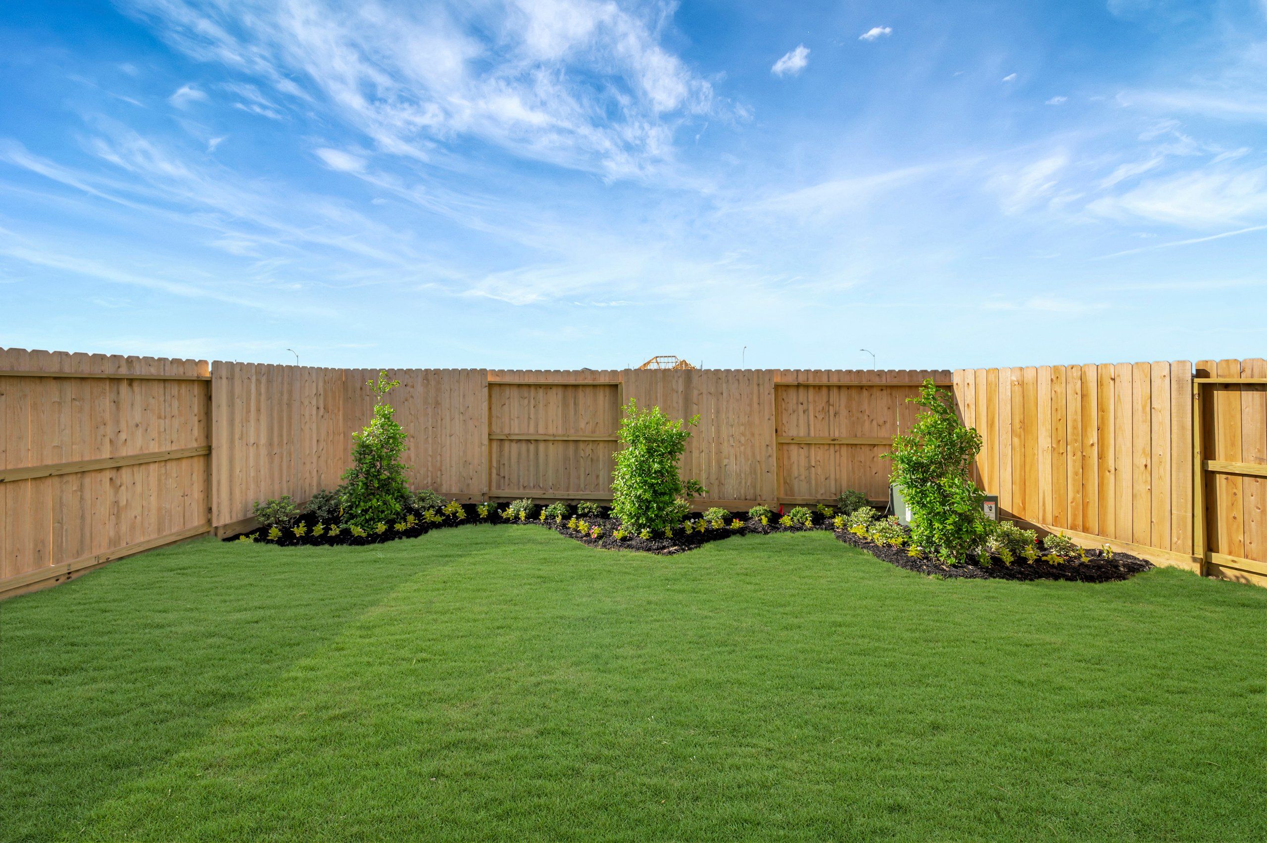 Backyard - June 22, 2026