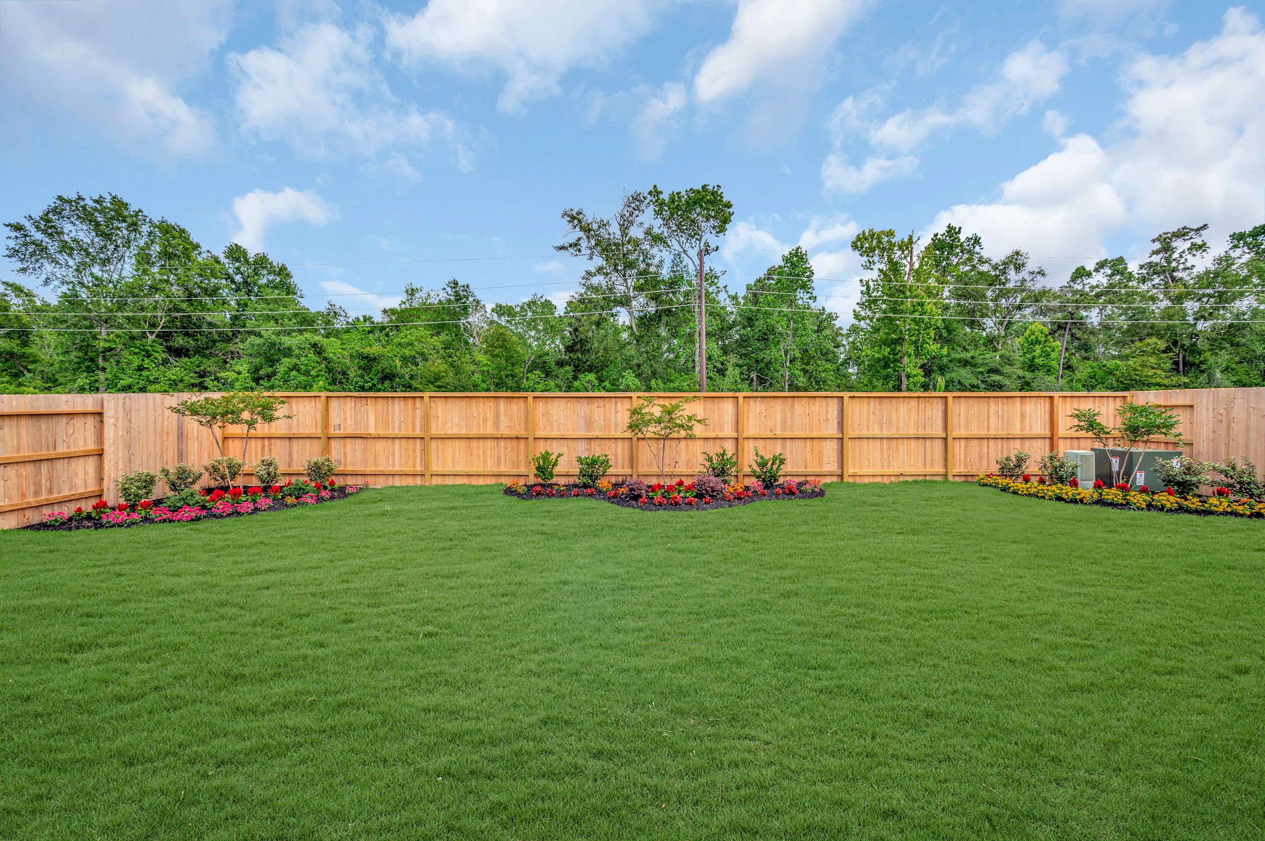 Backyard - May 4, 2026