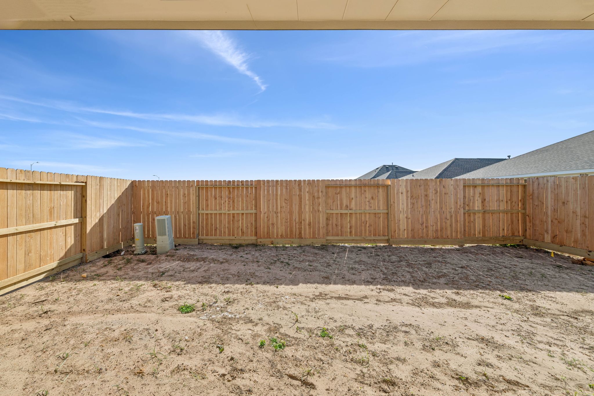 Backyard - December 31, 2025