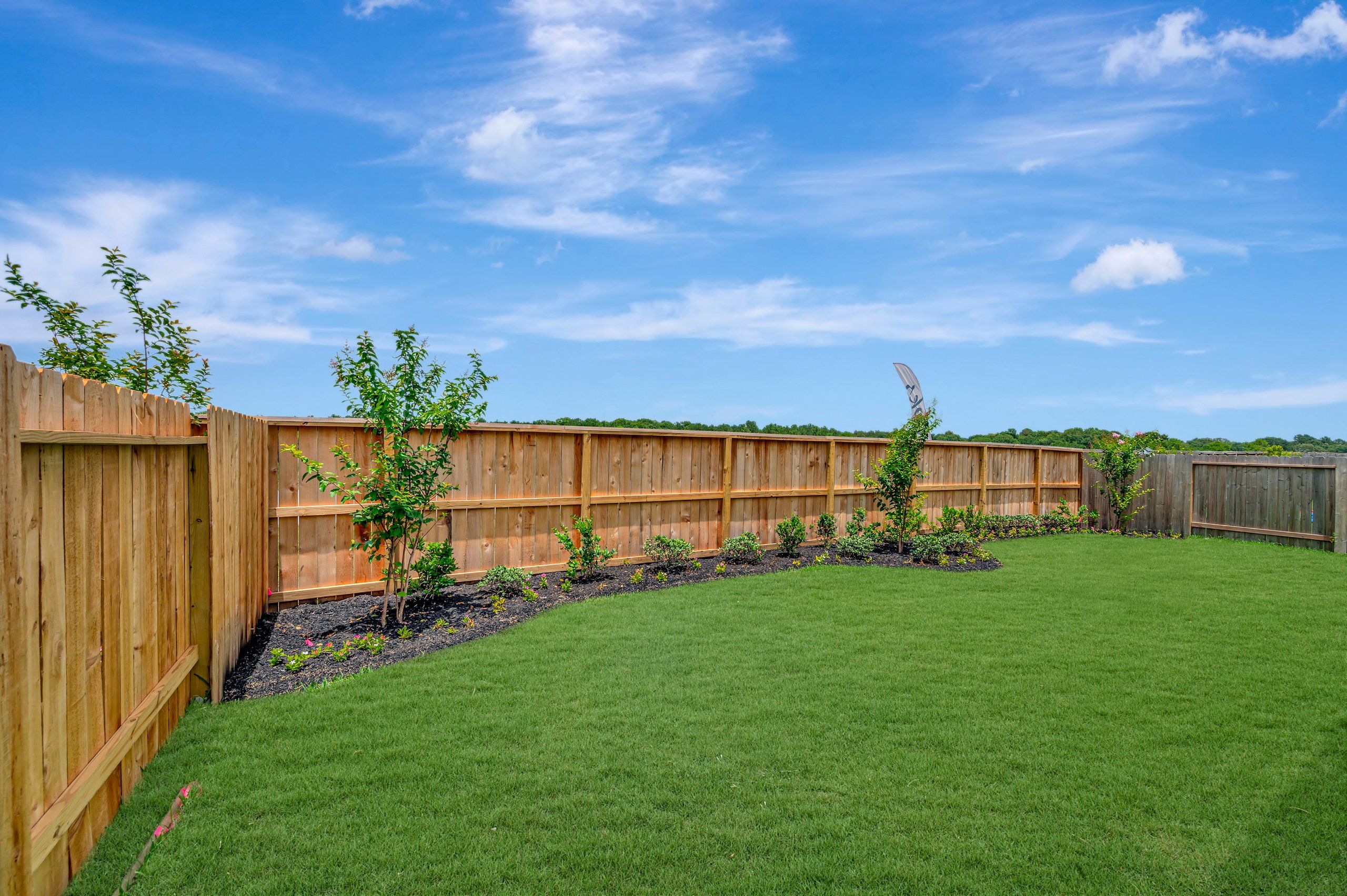 Backyard - June 8, 2026