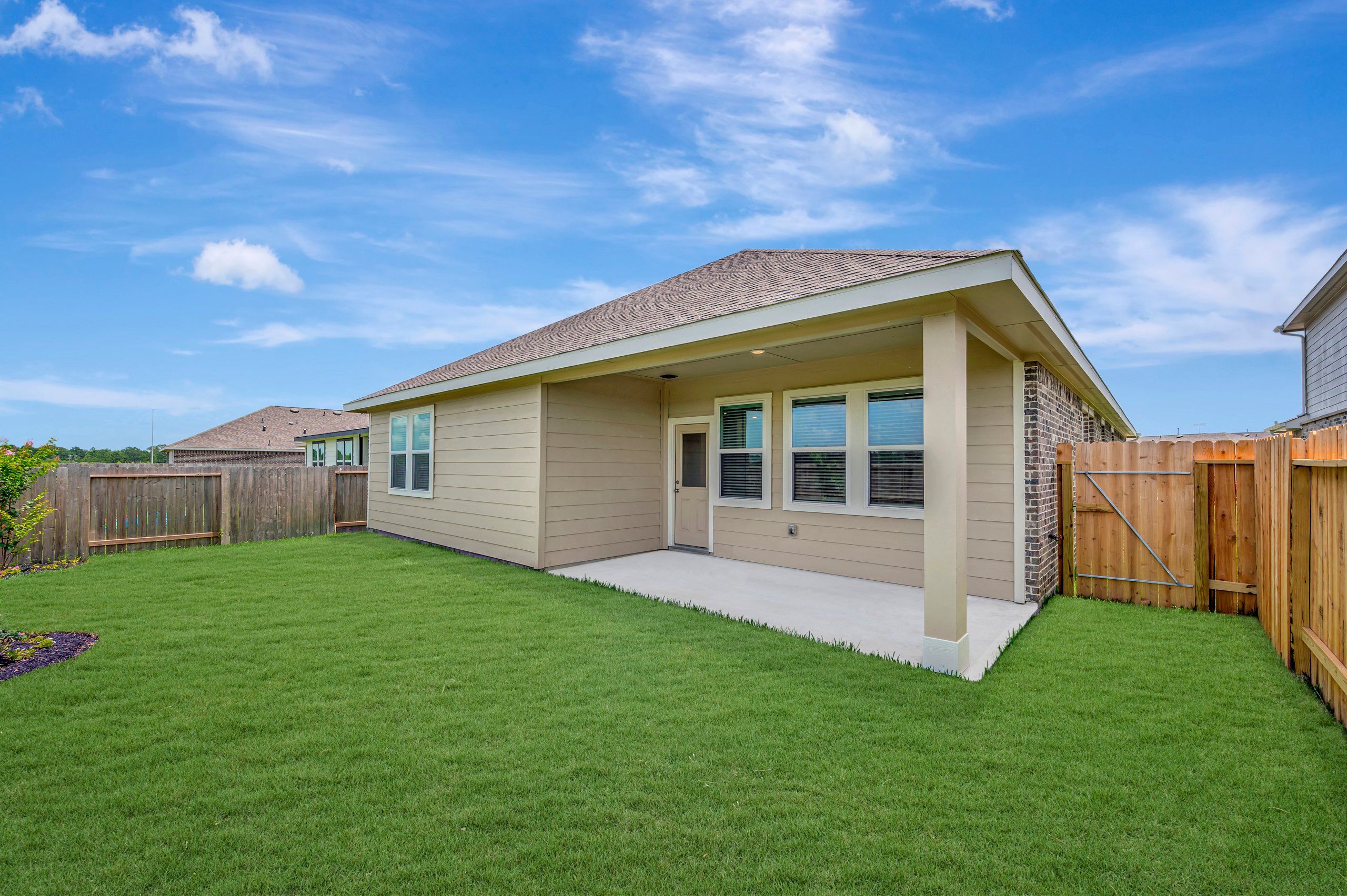 Backyard - June 8, 2026