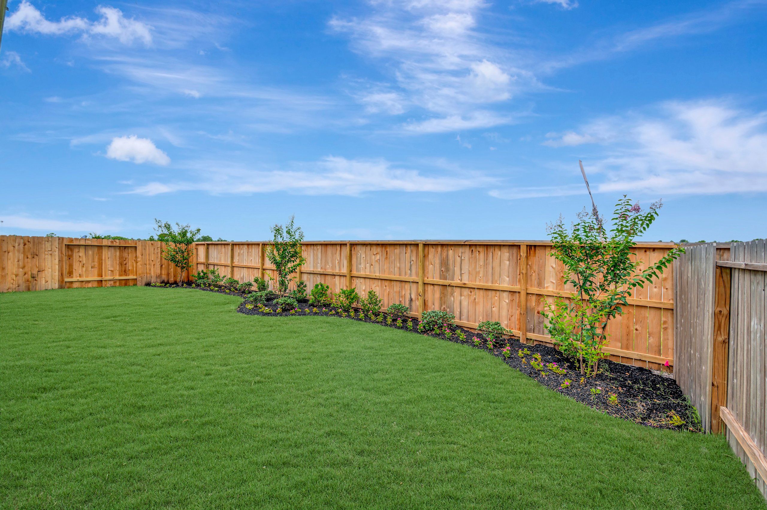Backyard - June 8, 2026