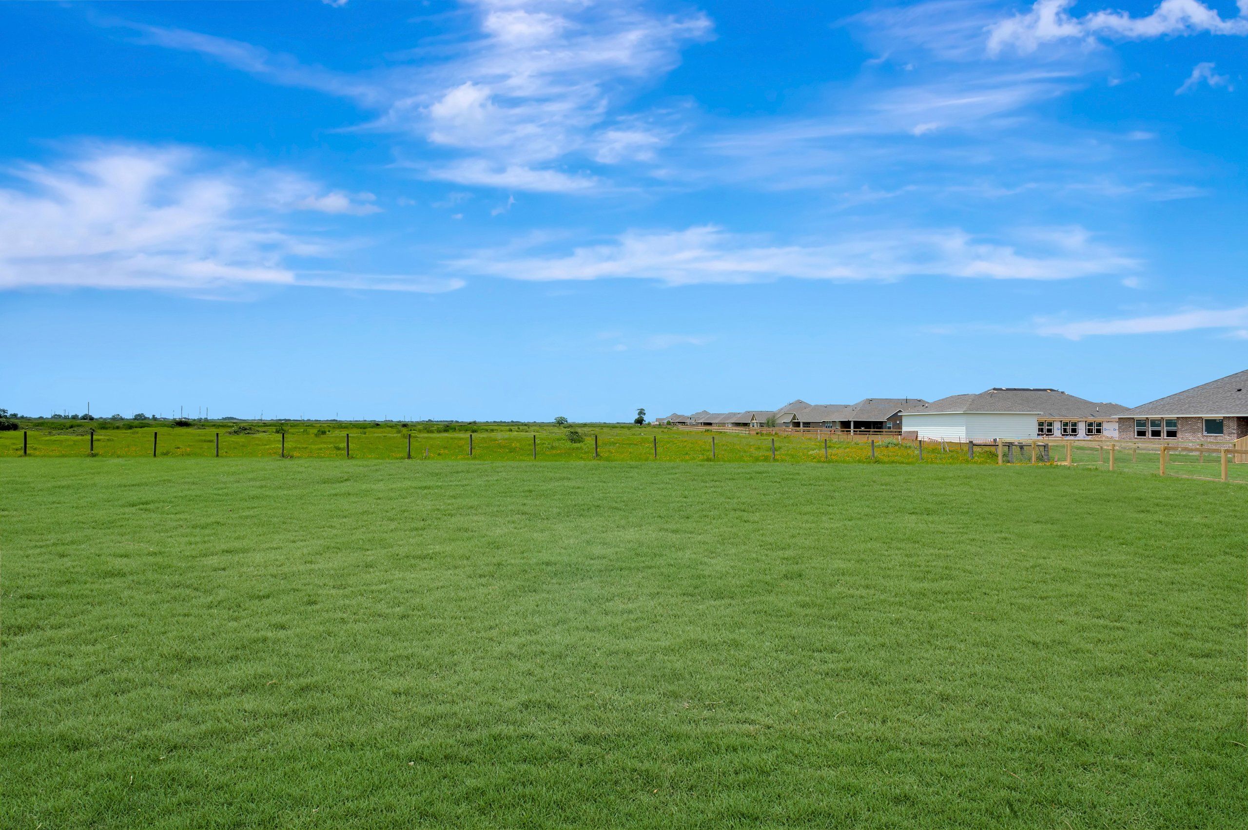 Backyard - June 25, 2026